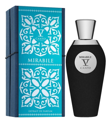 V Canto  Mirabile Духи для женщин 100 ml