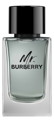 Burberry Mr.  Туалетная вода для мужчин 100 ml тестер