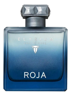 Roja Parfums Elysium Eau Intense Парфюмерная вода для мужчин 100 ml тестер