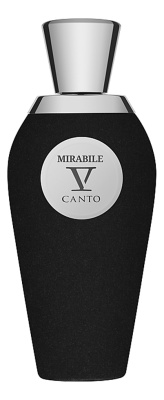 V Canto  Mirabile Духи для женщин 100 ml тестер