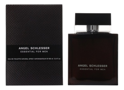 Angel Schlesser  Essential for Men Туалетная вода для мужчин 100 ml
