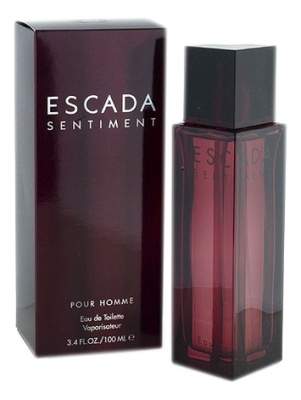 Escada  Sentiment Pour Homme Туалетная вода для мужчин 100 ml