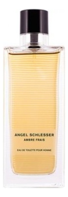 Angel Schlesser  Ambre Frais Homme Туалетная вода для мужчин 100 ml тестер