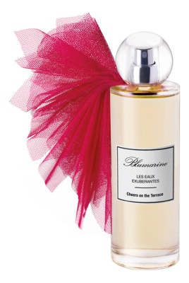 Blumarine  Cheers On The Terrace Туалетная вода для женщин 100 ml тестер