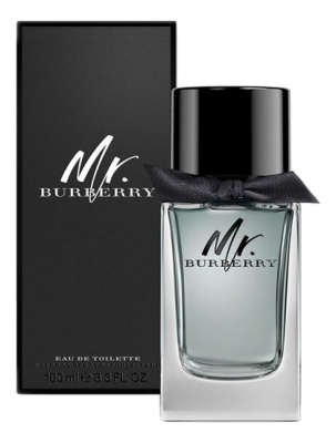 Burberry Mr.  Туалетная вода для мужчин 100 ml