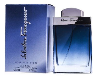 Salvatore Ferragamo  Subtil Pour Homme Туалетная вода для мужчин 50 ml
