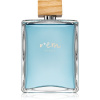 Reminiscence Rem Homme
